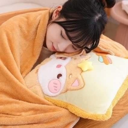 Kids Blanket+Pillow Set